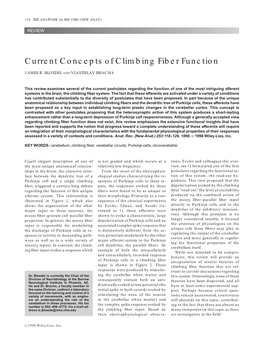 Current Concepts of Climbing Fiber Function