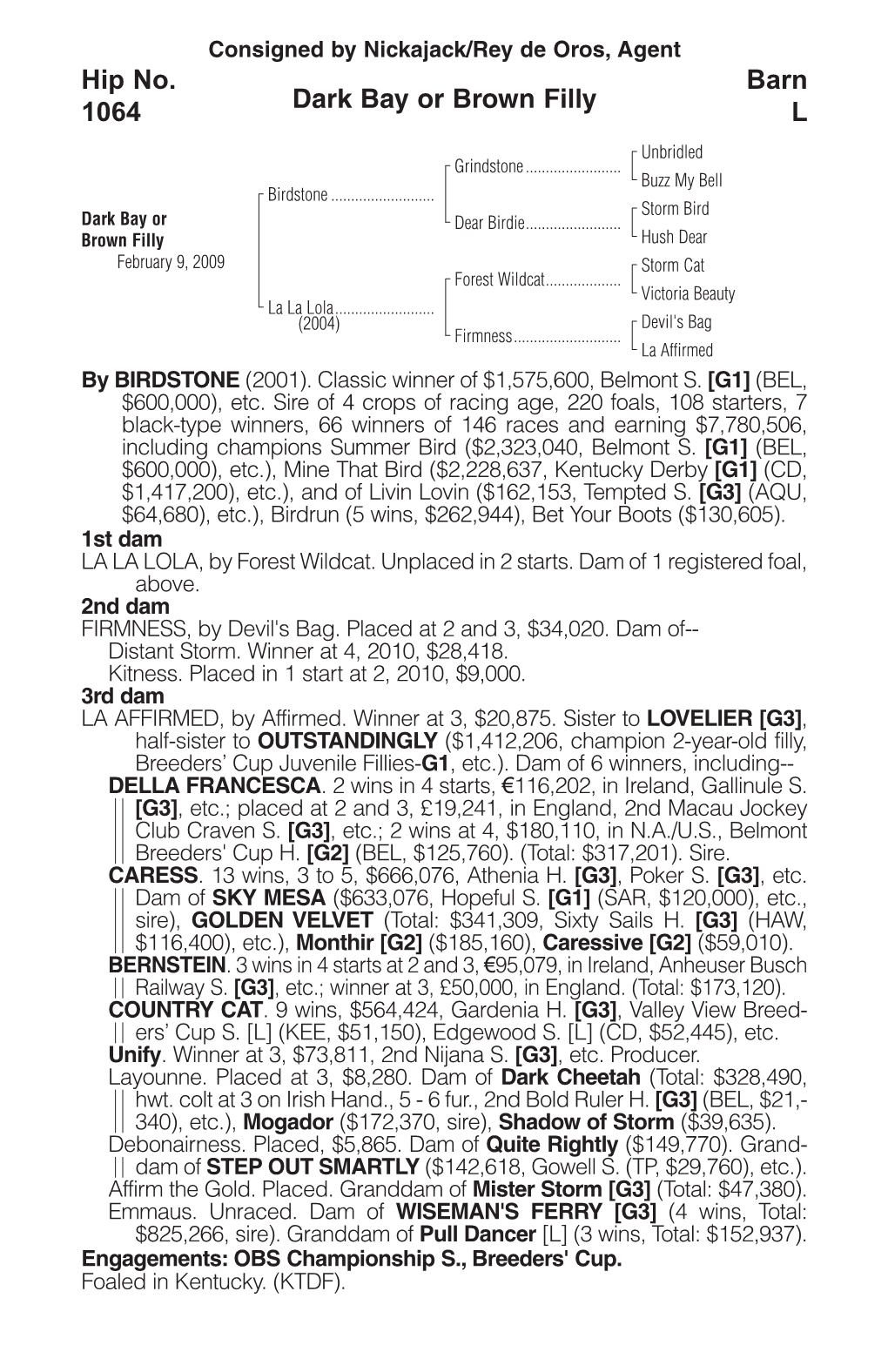 Dark Bay Or Brown Filly Barn L Hip No. 1064