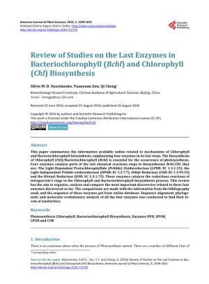 Review of Studies on the Last Enzymes in Bacteriochlorophyll (Bchl) and Chlorophyll (Chl) Biosynthesis