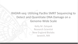 Archaeal DNA Replication and DNA Repair