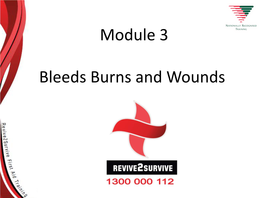 Module 3 Bleeds Burns and Wounds