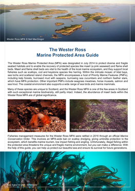 The Wester Ross Marine Protected Area Guide