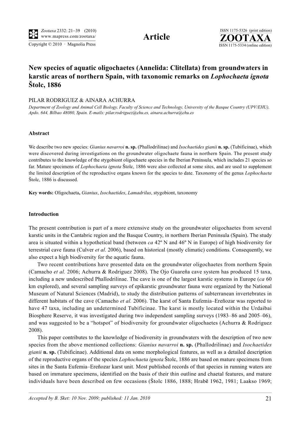 Zootaxa, New Species of Aquatic Oligochaetes