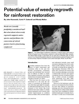 Camphor Laurels' Ecological Management & Restoration
