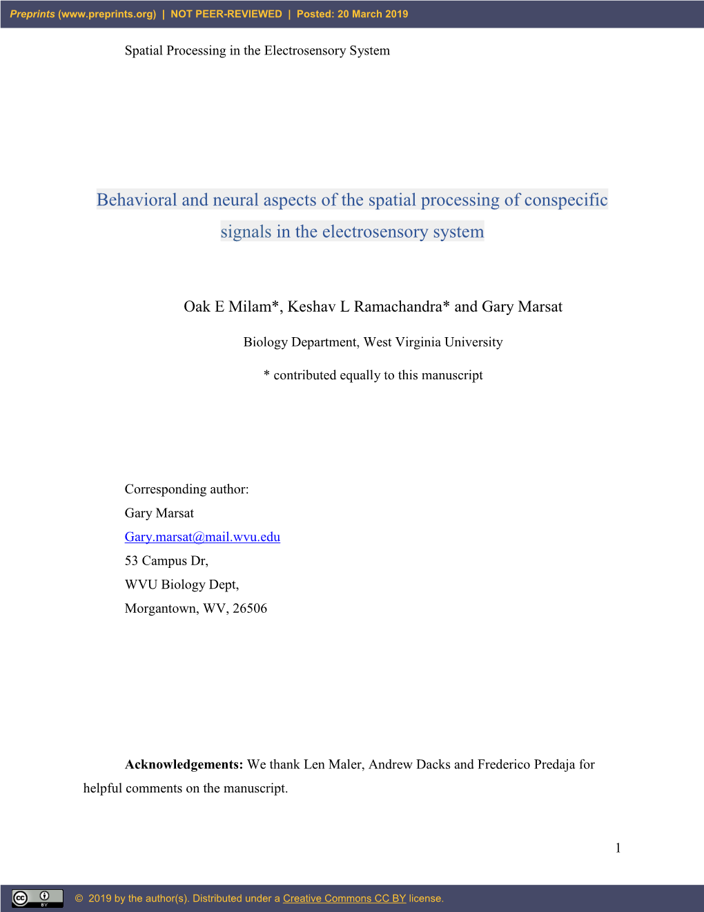 Behavioral and Neural Aspects of the Spatial Processing of Conspecific Signals in the Electrosensory System