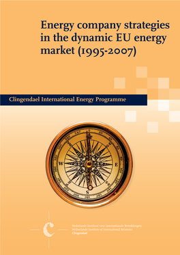 Energy Company Strategies in the Dynamic EU Energy Market (1995-2007)