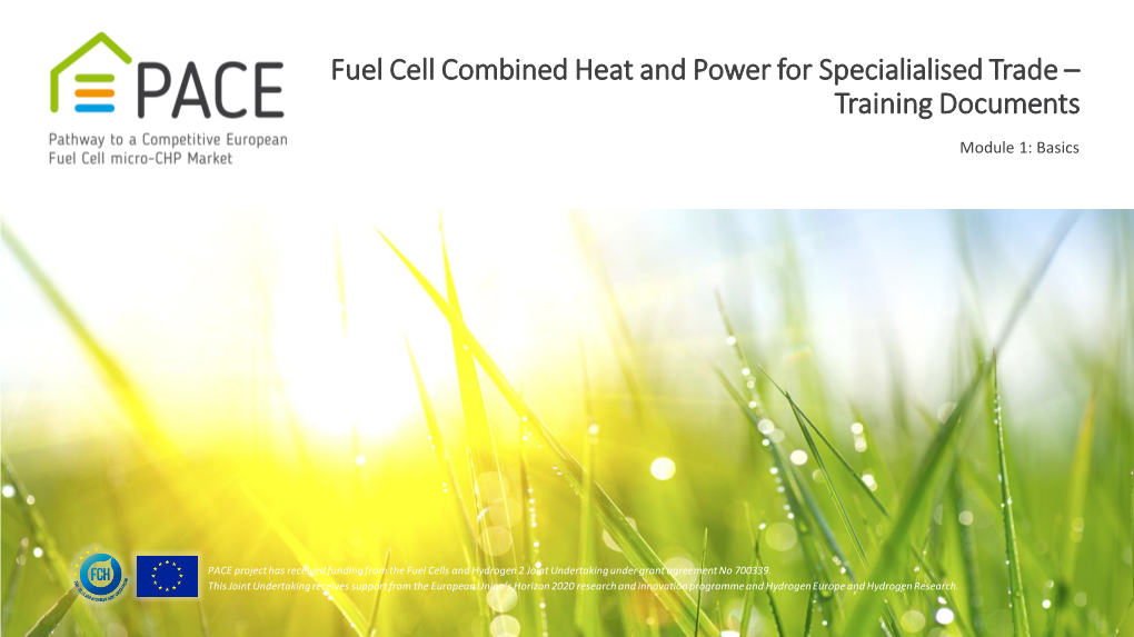 Fuel Cell Combined Heat and Power for Specialialised Trade – Training Documents