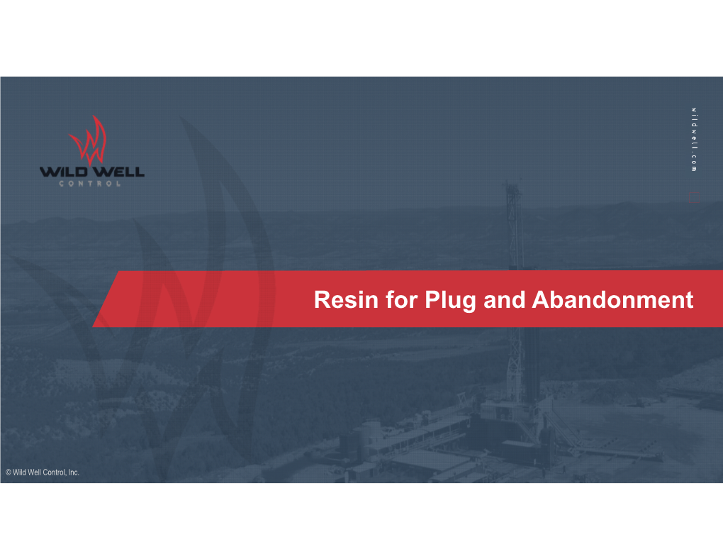 Resin for Plug and Abandonment