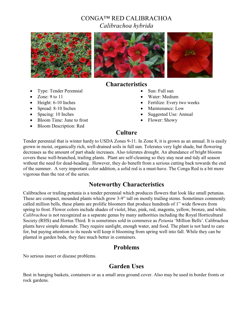 CONGA™ RED CALIBRACHOA Calibrachoa Hybrida Characteristics Culture Noteworthy Characteristics Problems Garden Uses