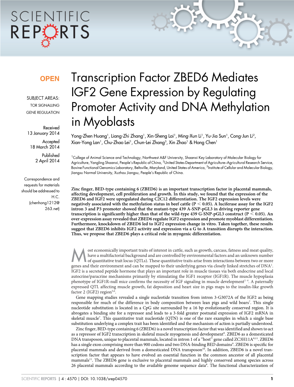 Transcription Factor ZBED6 Mediates IGF2 Gene Expression By