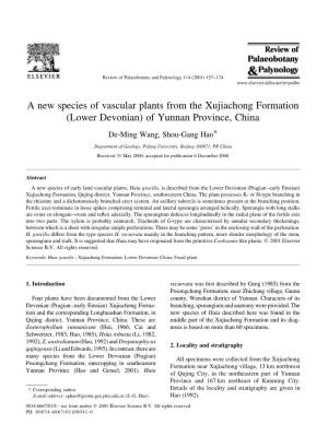 A New Species of Vascular Plants from the Xujiachong Formation (Lower