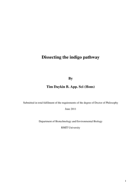 Dissecting the Indigo Pathway