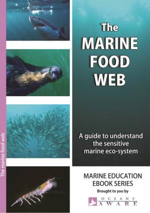 Marine Food Web.Pdf