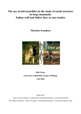 The Use of Microsatellites in the Study of Social Structure in Large Mammals: Italian Wolf and Fallow Deer As Case Studies