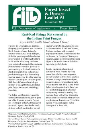 Rust-Red Stringy Rot Caused by the Indian Paint Fungus Gregory M