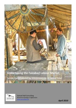 Undertaking the Faizabad Labour Market