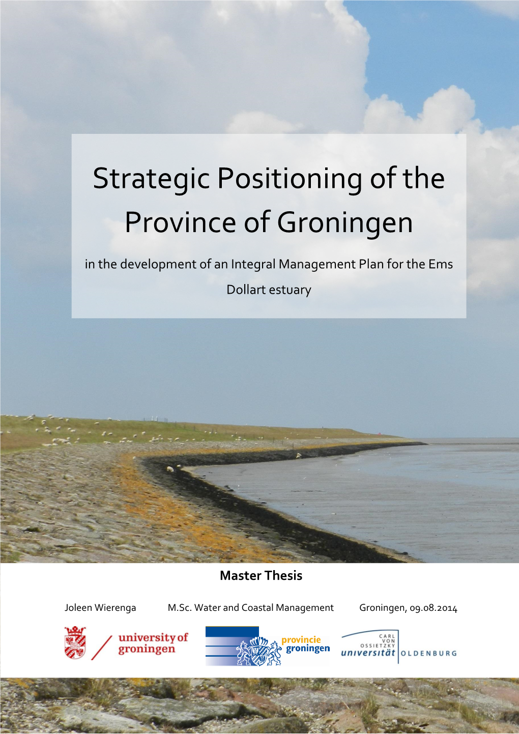 Strategic Positioning of the Province of Groningen in the Development of an Integral Management Plan for the Ems Dollart Estuary Master Thesis