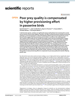 Poor Prey Quality Is Compensated by Higher Provisioning Effort In