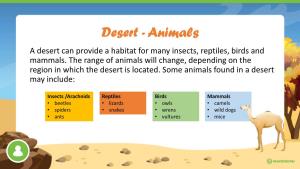 Desert - Animals a Desert Can Provide a Habitat for Many Insects, Reptiles, Birds and Mammals