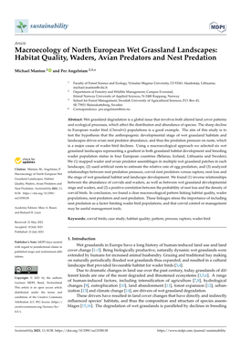 Macroecology of North European Wet Grassland Landscapes: Habitat Quality, Waders, Avian Predators and Nest Predation