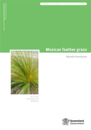 Mexican Feather Grass Risk Assessment