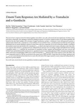 Umamitaste Responses Are Mediated Byα-Transducin Andα