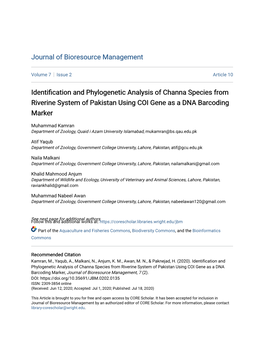 Identification and Phylogenetic Analysis of Channa Species from Riverine System of Pakistan Using COI Gene As a DNA Barcoding Marker