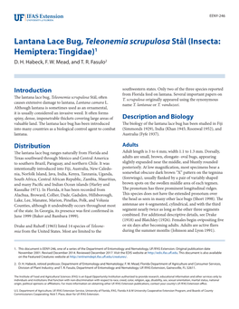 Lantana Lace Bug, Teleonemia Scrupulosa Stål (Insecta: Hemiptera: Tingidae)1 D