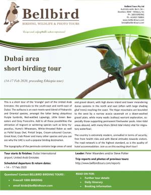 Dubai Area Short Birding Tour