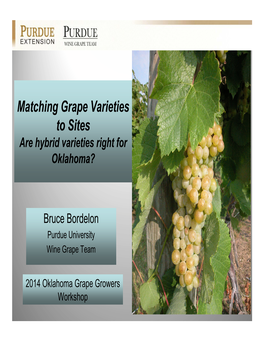 Matching Grape Varieties to Sites Are Hybrid Varieties Right for Oklahoma?