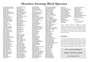Hasties Swamp Bird Species