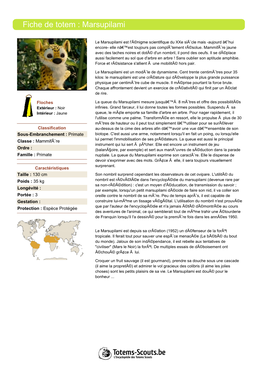 Fiche De Totem : Marsupilami