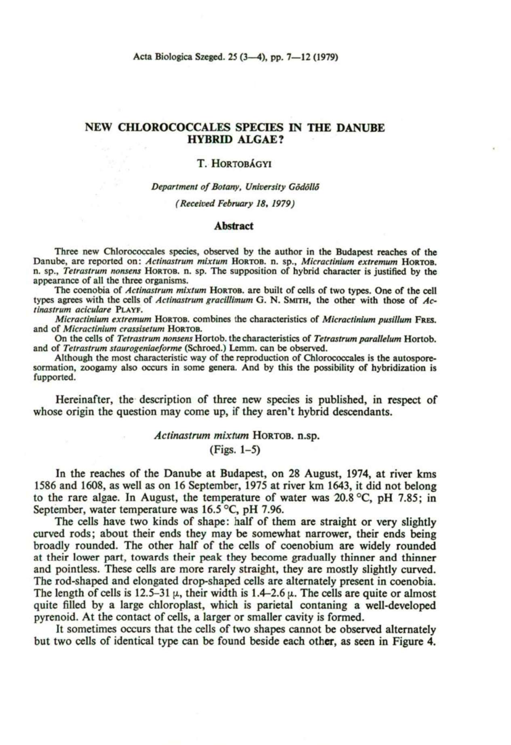 New Chlorococcales Species in the Danube Hybrid Algae?