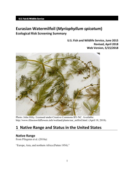 Eurasian Watermilfoil (Myriophyllum Spicatum) Ecological Risk Screening Summary