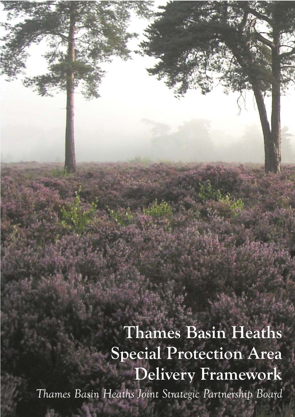 Thames Basin Heaths SPA Delivery Framework