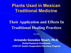 Plants Used in Mexican Traditional Medicine