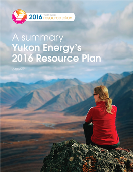 Summary 2016 Resource Plan