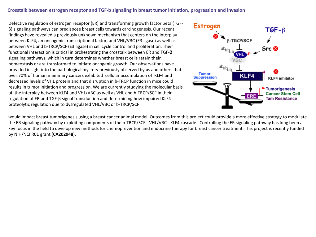 Crosstalk Between Estrogen Receptor and TGF-B Signaling in Breast Tumor Initiation, Progression and Invasion