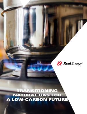 Transitioning Natural Gas for a Low-Carbon Future to Our Stakeholders