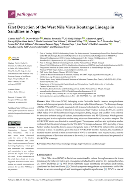 First Detection of the West Nile Virus Koutango Lineage in Sandflies In