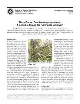 Bana Grass (Pennisetum Purpureum): a Possible Forage for Ruminants in Hawai'i