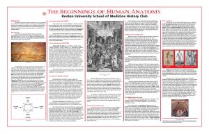 THE BEGINNINGS of HUMAN ANATOMY Boston University School of Medicine History Club