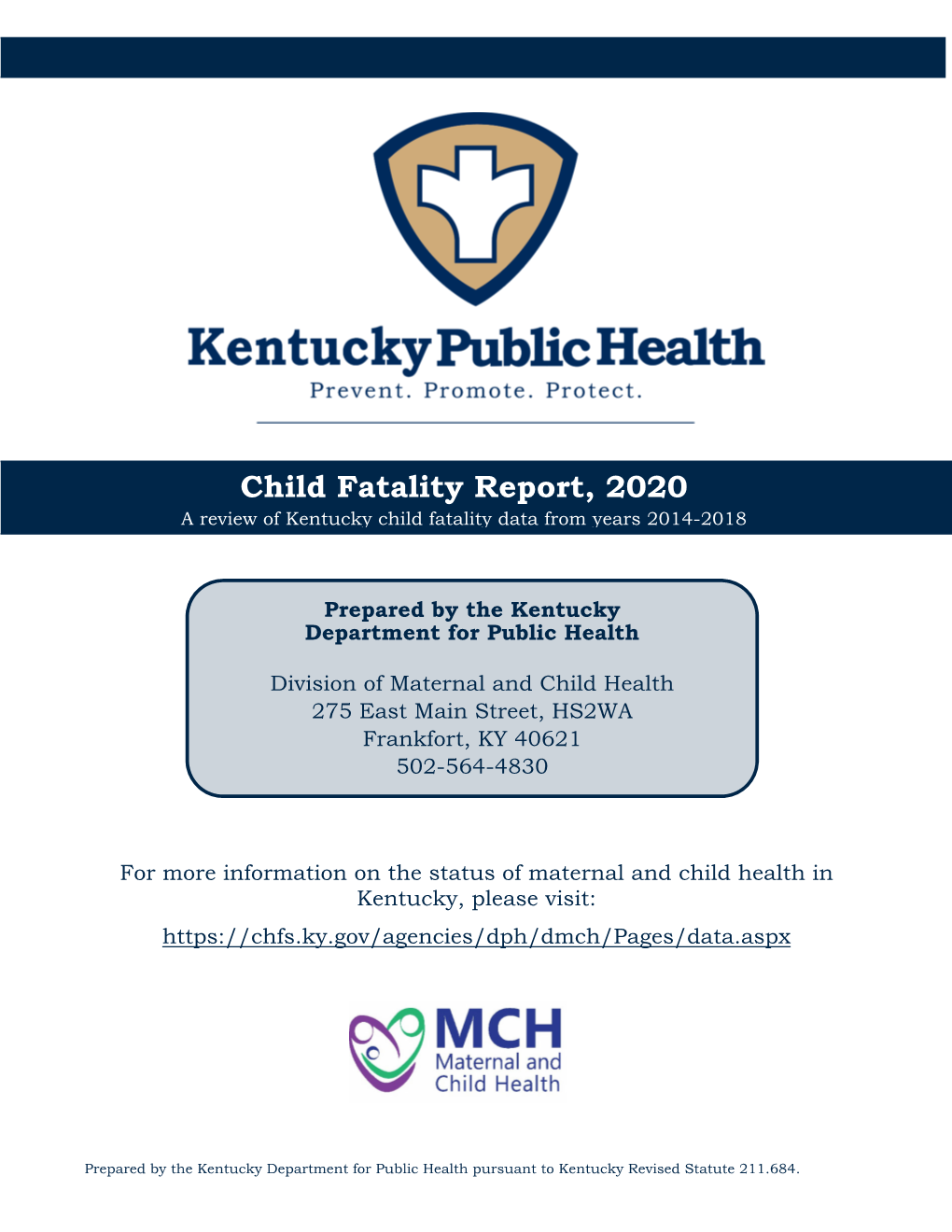 Child Fatality Report, 2020 A Review Of Kentucky Child Fatality Data ...