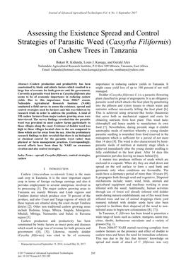 Cassytha Filiformis) on Cashew Trees in Tanzania