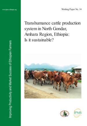 Transhumance Cattle Production System in North Gondar, Amhara Region, Ethiopia: Is It Sustainable?