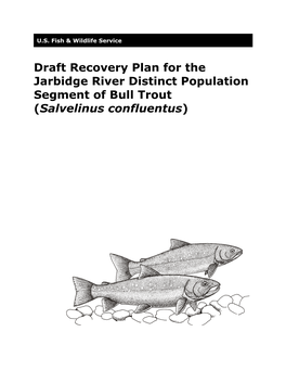 Draft Recovery Plan for Jarbidge Population of Bull Trout