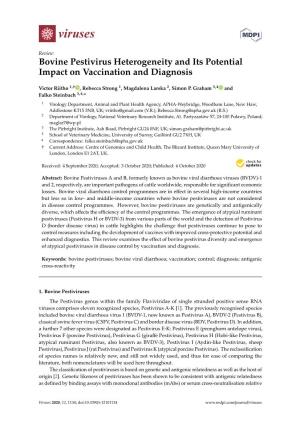 Bovine Pestivirus Heterogeneity and Its Potential Impact on Vaccination and Diagnosis