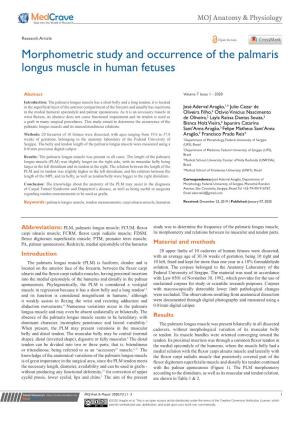 Morphometric Study and Occurrence of the Palmaris Longus Muscle in Human Fetuses