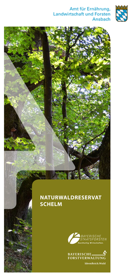 NATURWALDRESERVAT SCHELM Naturwaldreservat Schelm