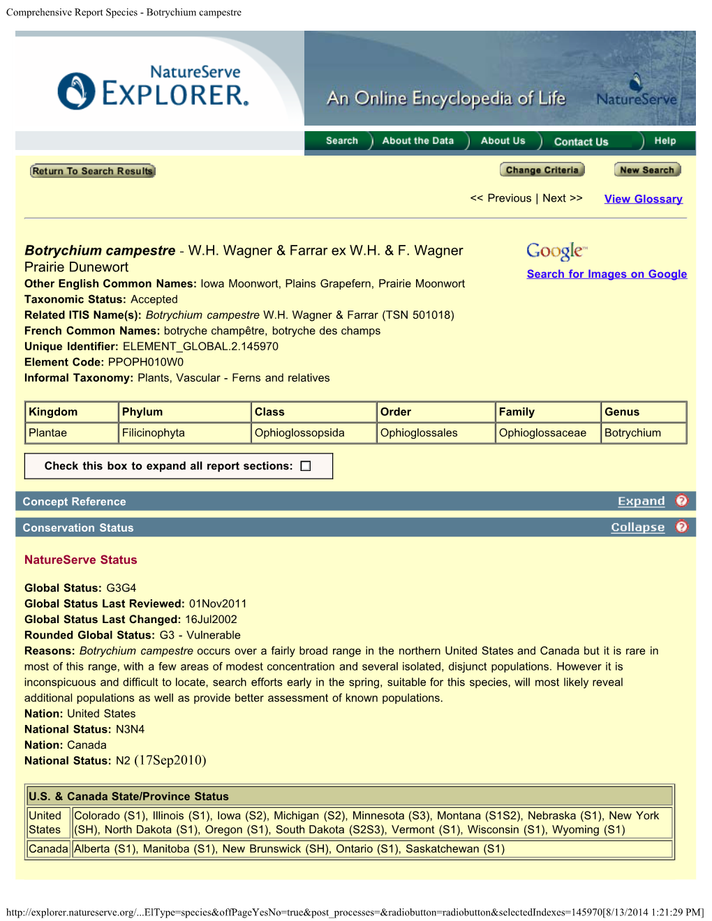 Comprehensive Report Species - Botrychium Campestre